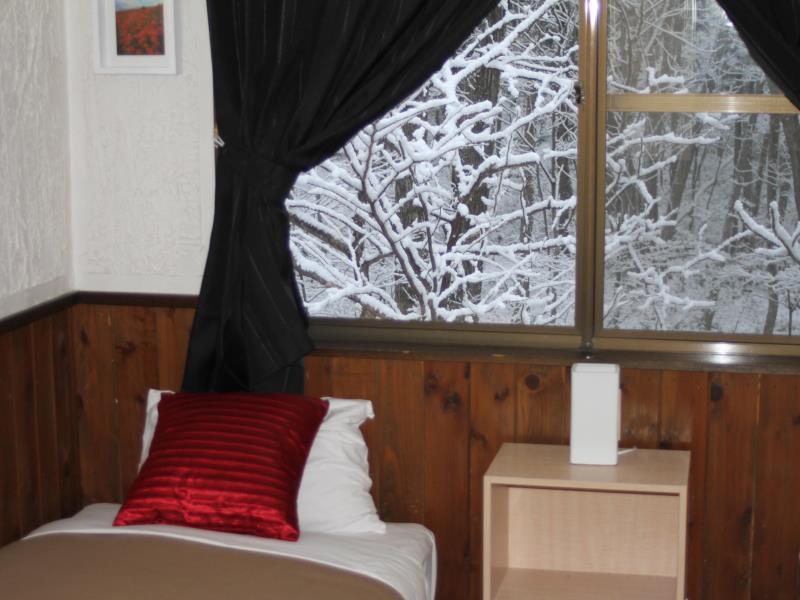 Alpine Lodge Hakuba Eksteriør billede
